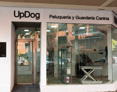UPDOG PACÍFICO | Guardería Peluquería Canina